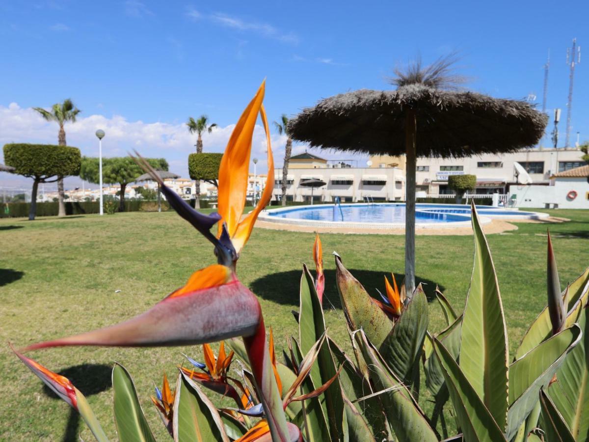 001 - Altomar II 001 - Comfortholidays Gran Alacant Extérieur photo